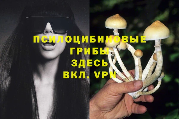 герыч Сосновый Бор