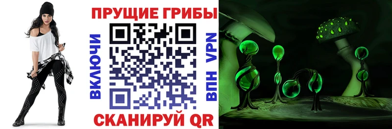Псилоцибиновые грибы GOLDEN TEACHER  Павловск 