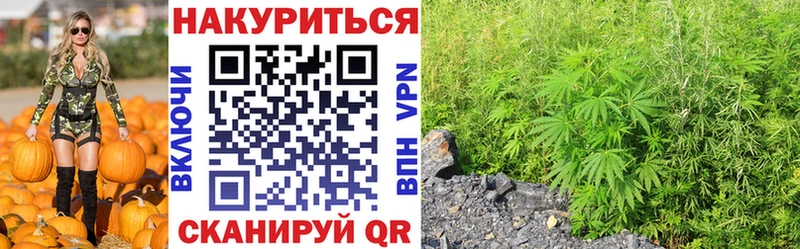 Шишки марихуана MAZAR Павловск